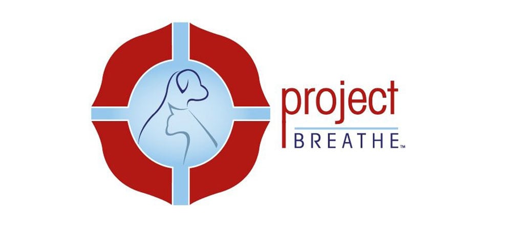 Invisible Fence® Brand Announces ‘Project Breathe™ Week’ in Tennessee