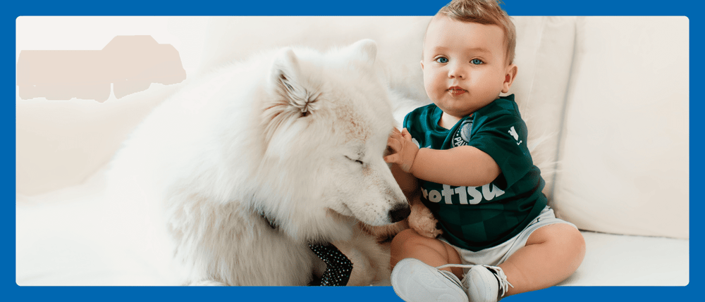 Dog and baby spending quality time together